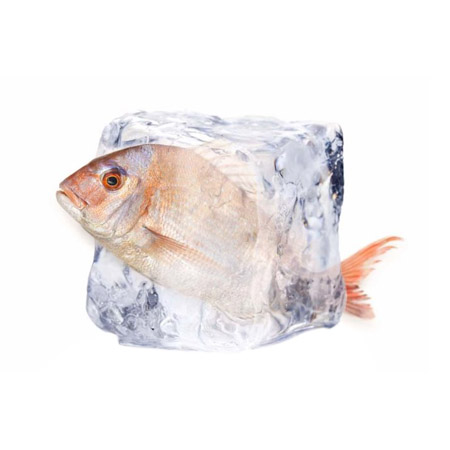Pesce congelato
